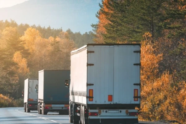 Ankara Düzce Nakliyat